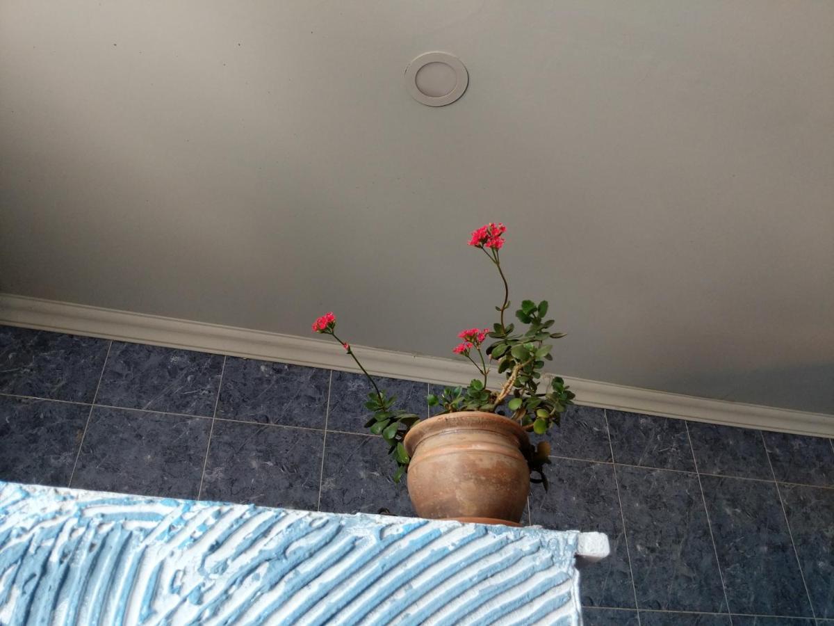 Diwan Hostel Tbiliszi Kültér fotó